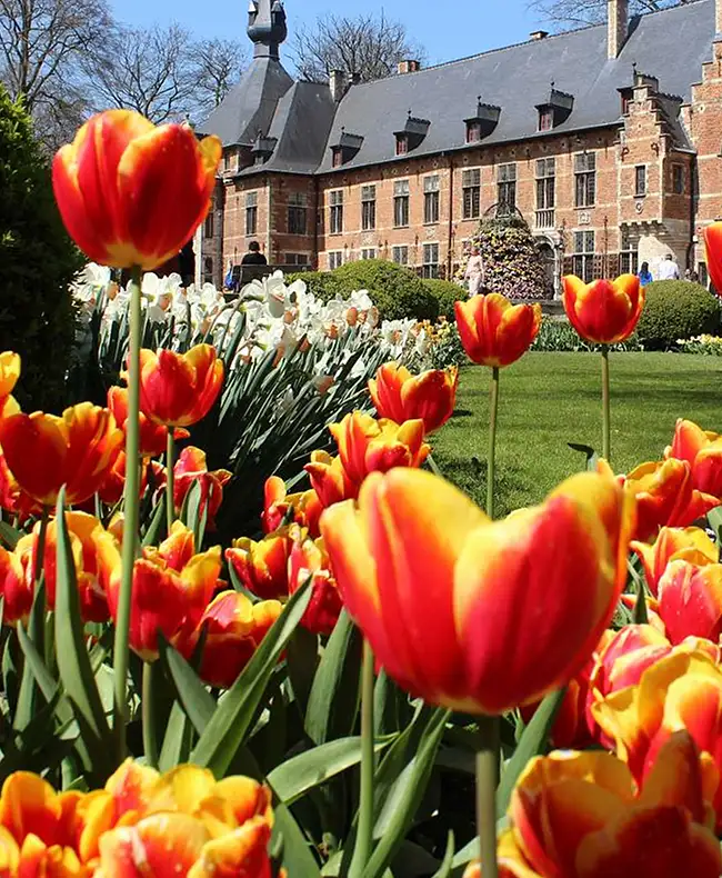 Floralia Brussel